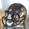 Bentonville Tigers HS 2010 (AR) STATE CHAMPS